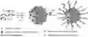Fig. 01 - Surface functionalized, host-guest polymer nano-assemblies and methods thereof