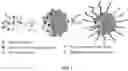 Fig. 02 - Surface functionalized, host-guest polymer nano-assemblies and methods thereof