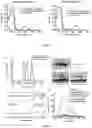 Fig. 04 - Surface functionalized, host-guest polymer nano-assemblies and methods thereof