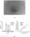 Fig. 05 - Surface functionalized, host-guest polymer nano-assemblies and methods thereof