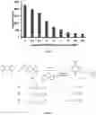 Fig. 06 - Surface functionalized, host-guest polymer nano-assemblies and methods thereof