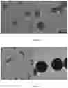 Fig. 22 - Surface functionalized, host-guest polymer nano-assemblies and methods thereof