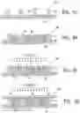 Fig. 08 - Microcell systems for delivering hydrophilic active molecules