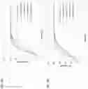 Fig. 07 - LIQUID GUAIFENESIN COMPOSITIONS WITH STABLE EXTENDED RELEASE PROFILES