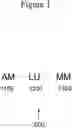 Fig. 02 - AFFINITY MEDICANT CONJUGATE