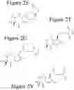 Fig. 06 - AFFINITY MEDICANT CONJUGATE