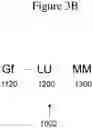 Fig. 08 - AFFINITY MEDICANT CONJUGATE