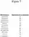 Fig. 12 - AFFINITY MEDICANT CONJUGATE