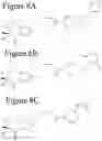 Fig. 13 - AFFINITY MEDICANT CONJUGATE