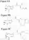 Fig. 14 - AFFINITY MEDICANT CONJUGATE