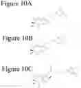 Fig. 15 - AFFINITY MEDICANT CONJUGATE