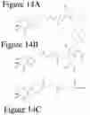 Fig. 19 - AFFINITY MEDICANT CONJUGATE