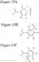 Fig. 20 - AFFINITY MEDICANT CONJUGATE