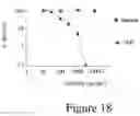 Fig. 23 - AFFINITY MEDICANT CONJUGATE