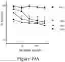 Fig. 24 - AFFINITY MEDICANT CONJUGATE