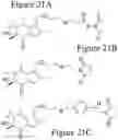 Fig. 27 - AFFINITY MEDICANT CONJUGATE