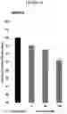 Fig. 11 - METHODS AND COMPOSITIONS FOR TREATING LYSOSOMAL STORAGE DISORDERS: AMBROXOL AS TREATMENT AGENT FOR MUCOPOLYSACCHARIDOSES III (SANFILIPPO SYNDROME)