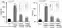 Fig. 01 - COMPOSITIONS INCLUDING CINNAMIC ACID AND METHODS OF USE THEREOF
