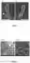 Fig. 02 - Composition for inducing pili formation in bacterium of genus 