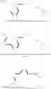 Fig. 18 - ISOTOPICALLY MODIFIED COMPONENTS AND THERAPEUTIC USES THEREOF