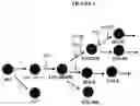 Fig. 02 - PHORBOL ESTER COMPOSITIONS AND METHODS OF USE FOR TREATING OR REDUCING THE DURATION OF CYTOPENIA