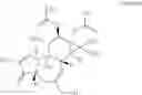Fig. 20 - PHORBOL ESTER COMPOSITIONS AND METHODS OF USE FOR TREATING OR REDUCING THE DURATION OF CYTOPENIA