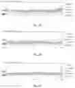 Fig. 04 - Compositions for preventing and treating diabetes