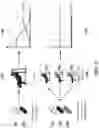 Fig. 03 - Pharmaceutical compositions and methods for countering chemotherapy induced cardiotoxicity