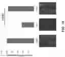 Fig. 15 - Pharmaceutical compositions and methods for countering chemotherapy induced cardiotoxicity