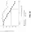 Fig. 23 - Pharmaceutical compositions and methods for countering chemotherapy induced cardiotoxicity