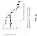 Fig. 24 - Pharmaceutical compositions and methods for countering chemotherapy induced cardiotoxicity