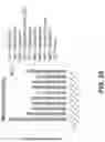 Fig. 26 - Pharmaceutical compositions and methods for countering chemotherapy induced cardiotoxicity