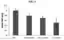 Fig. 07 - Pharmaceutical Composition for Treatment of Bone-Related Disease