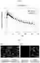 Fig. 07 - a-SYNUCLEIN AGGREGATE BINDING AGENT AND IMAGING METHOD