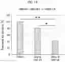 Fig. 12 - a-SYNUCLEIN AGGREGATE BINDING AGENT AND IMAGING METHOD