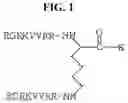 Fig. 02 - Antibacterial Compositions