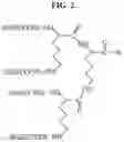 Fig. 03 - Antibacterial Compositions