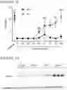 Fig. 04 - METHODS OF TREATING PAIN