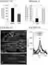 Fig. 05 - METHODS OF TREATING PAIN
