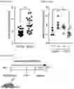Fig. 07 - METHODS OF TREATING PAIN