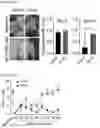 Fig. 08 - METHODS OF TREATING PAIN