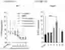 Fig. 13 - METHODS OF TREATING PAIN