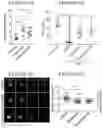 Fig. 14 - METHODS OF TREATING PAIN