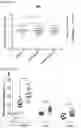 Fig. 15 - METHODS OF TREATING PAIN