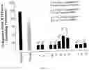 Fig. 10 - INHALABLE SUSTAINED THERAPEUTIC FORMULATIONS