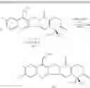 Fig. 130 - CAMPTOTHECIN DERIVATIVES