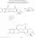 Fig. 132 - CAMPTOTHECIN DERIVATIVES