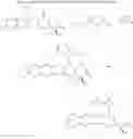 Fig. 133 - CAMPTOTHECIN DERIVATIVES
