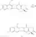 Fig. 154 - CAMPTOTHECIN DERIVATIVES