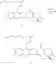 Fig. 195 - CAMPTOTHECIN DERIVATIVES